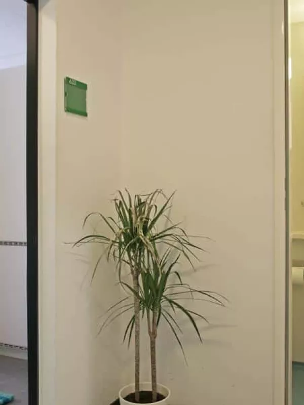 Chambre individuelle