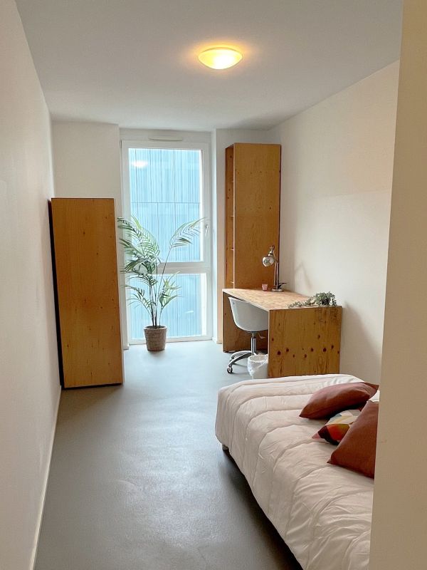 Room in shared flat