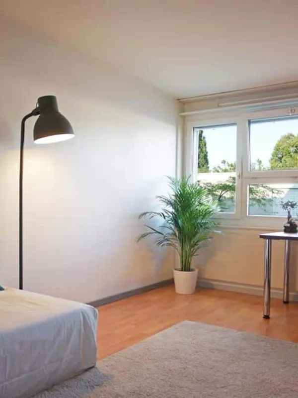 Chambre en colocation