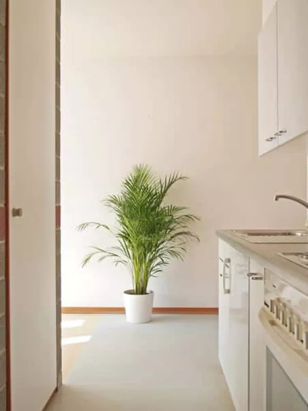 Appartement 2 people