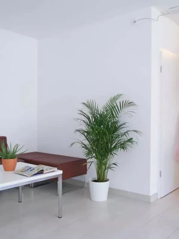 Room in shared flat