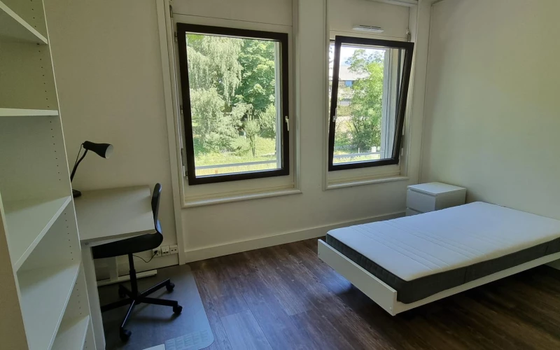 Nouvelle colocation aux Ochettes